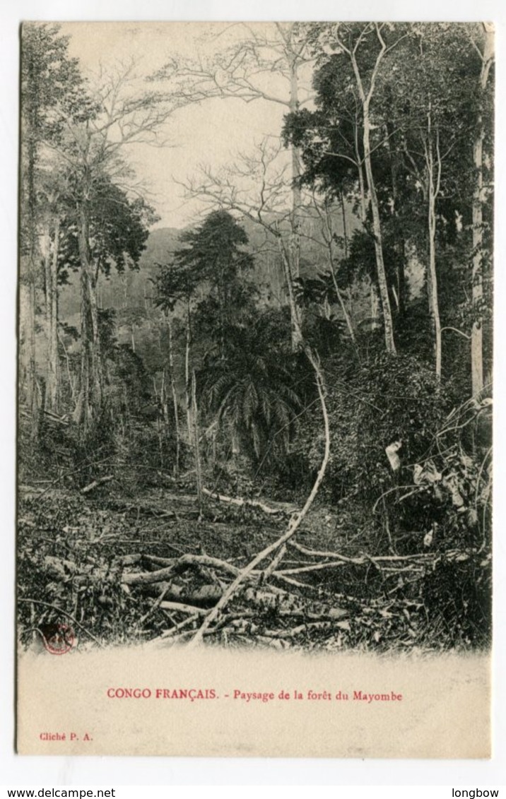 Congo Francais , Paysage De La Foret Du Mayombe - Congo Français