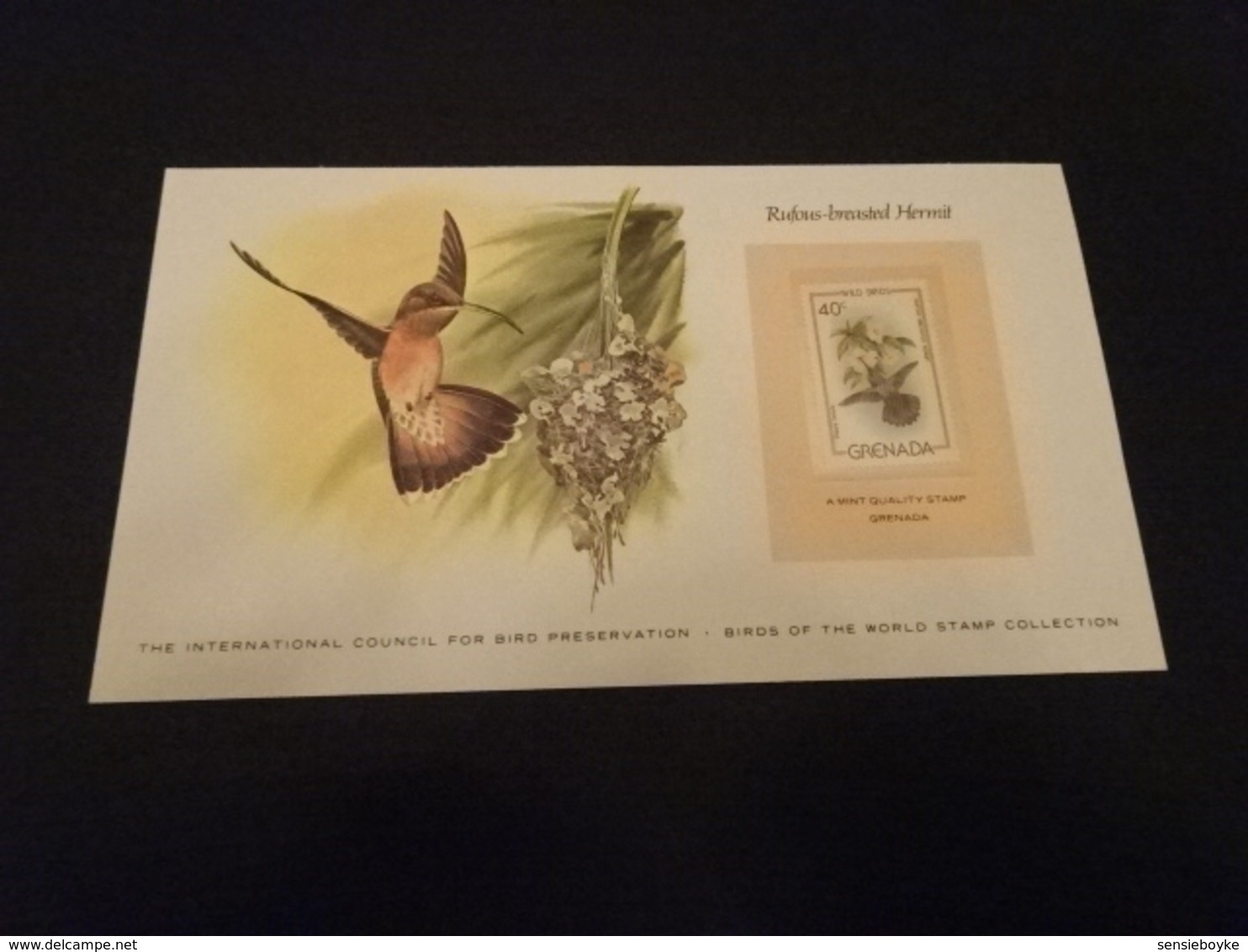 EP57 - Birds Of The World Stamp Collection -  Grenada 1980 - Rufous-breasted Hermit - Colibris