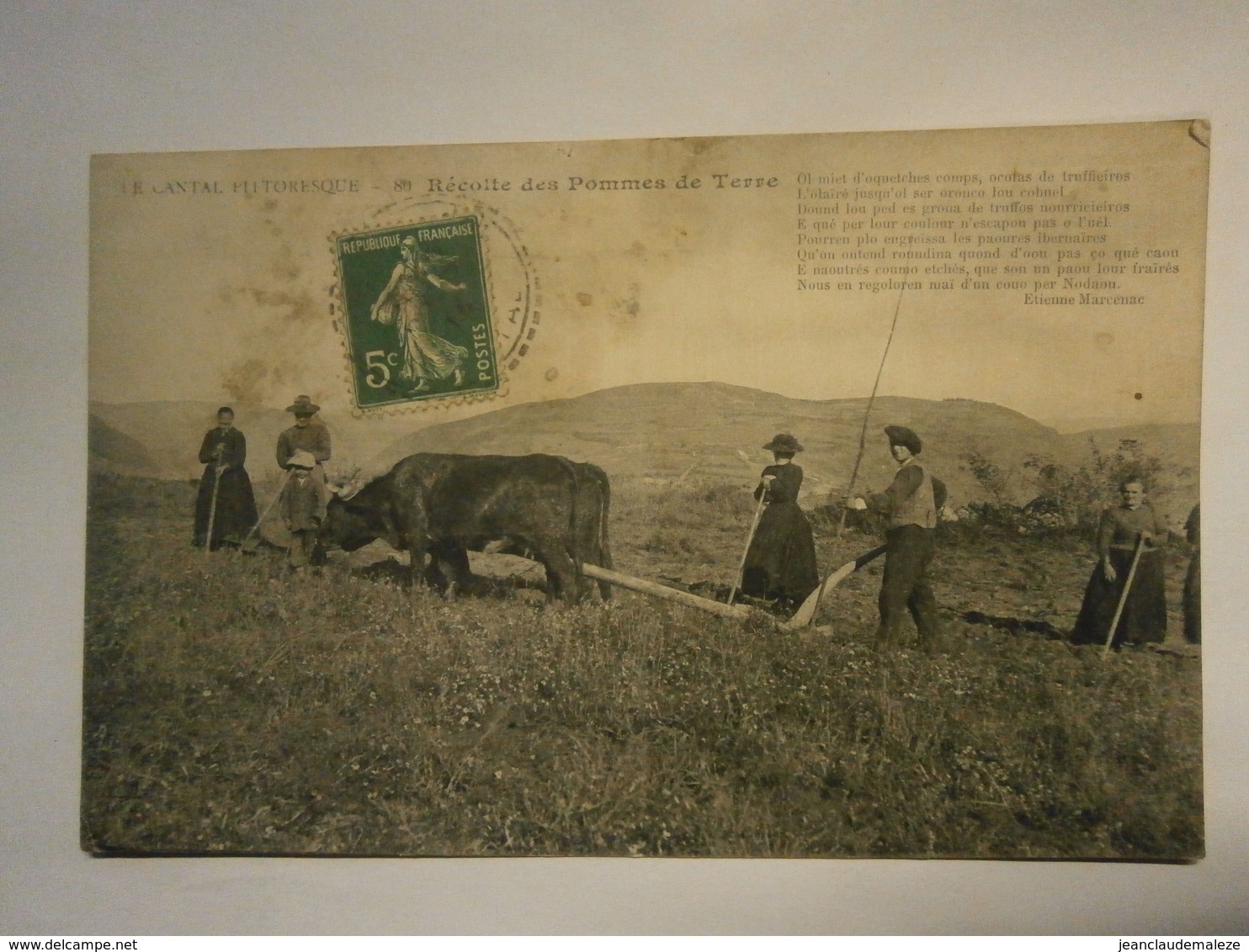 Le Cantal Pittoresque Récolte Des Pommes De Terre,Cantal 15,voyagée 1913,bel état Mais Un Nettoyage S'impose - Altri & Non Classificati