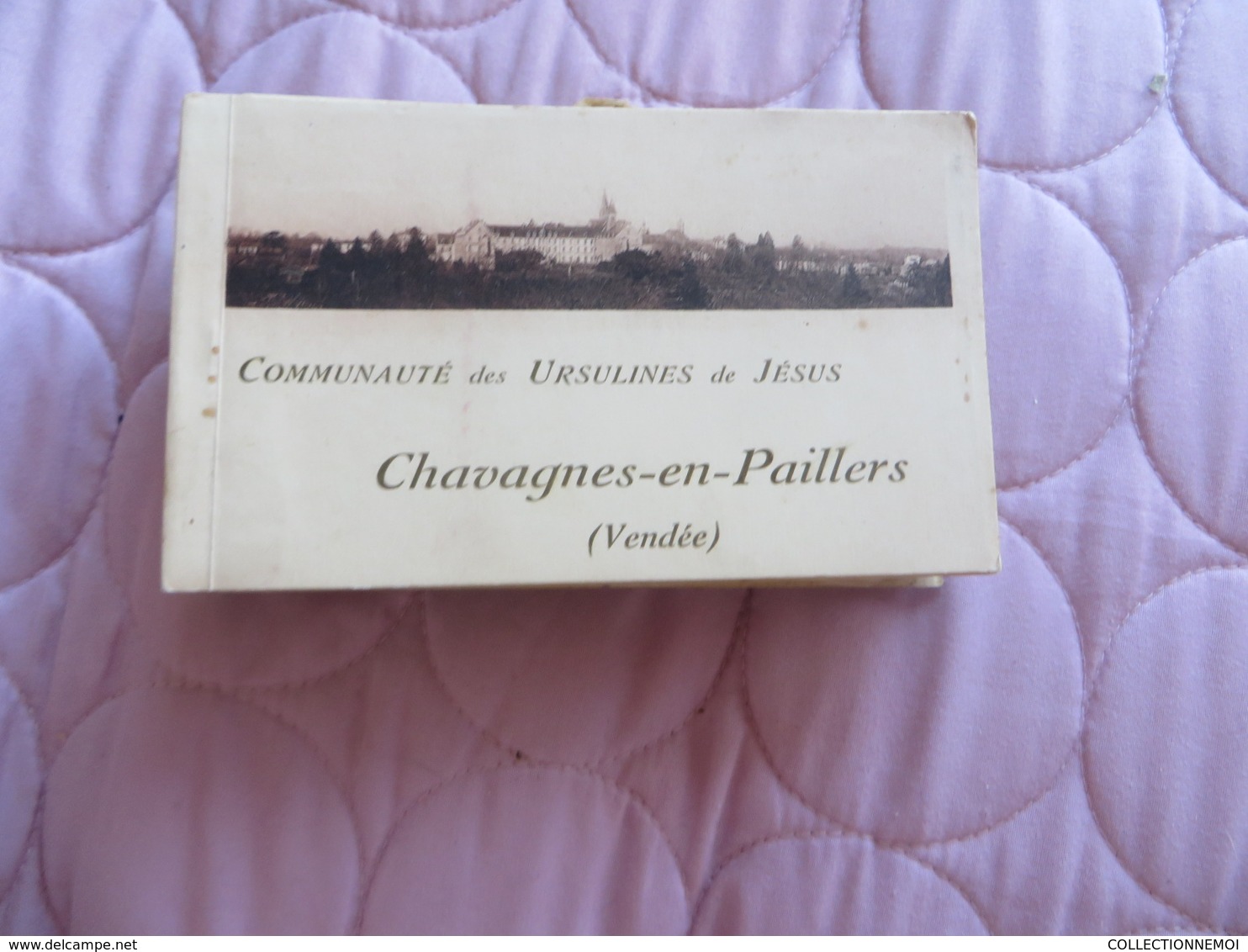 LOT DE 25 carnets divers,certains interressants ,d'autres moins,le prix fera le reste ,ça pése 1760 grammes net