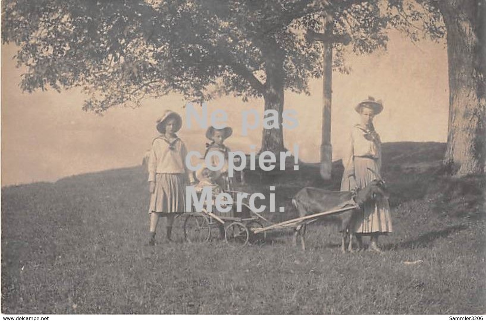 CHEVRE (ATTELAGE)  CARTE PHOTO - Deutschland - Ca. 1910 - Autres & Non Classés