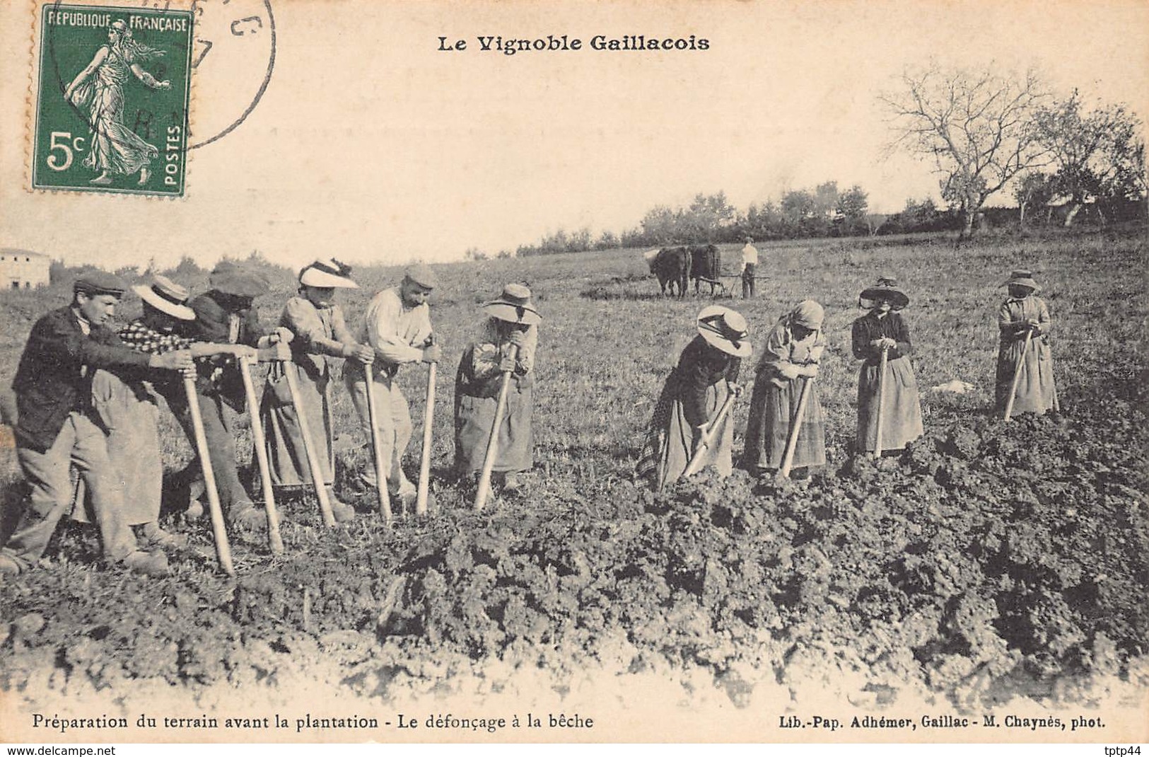 Le Vignoble Gaillacois - Préparation Du Terrain Avant La Plantation - Le Défonçage à La Bêche - Gaillac