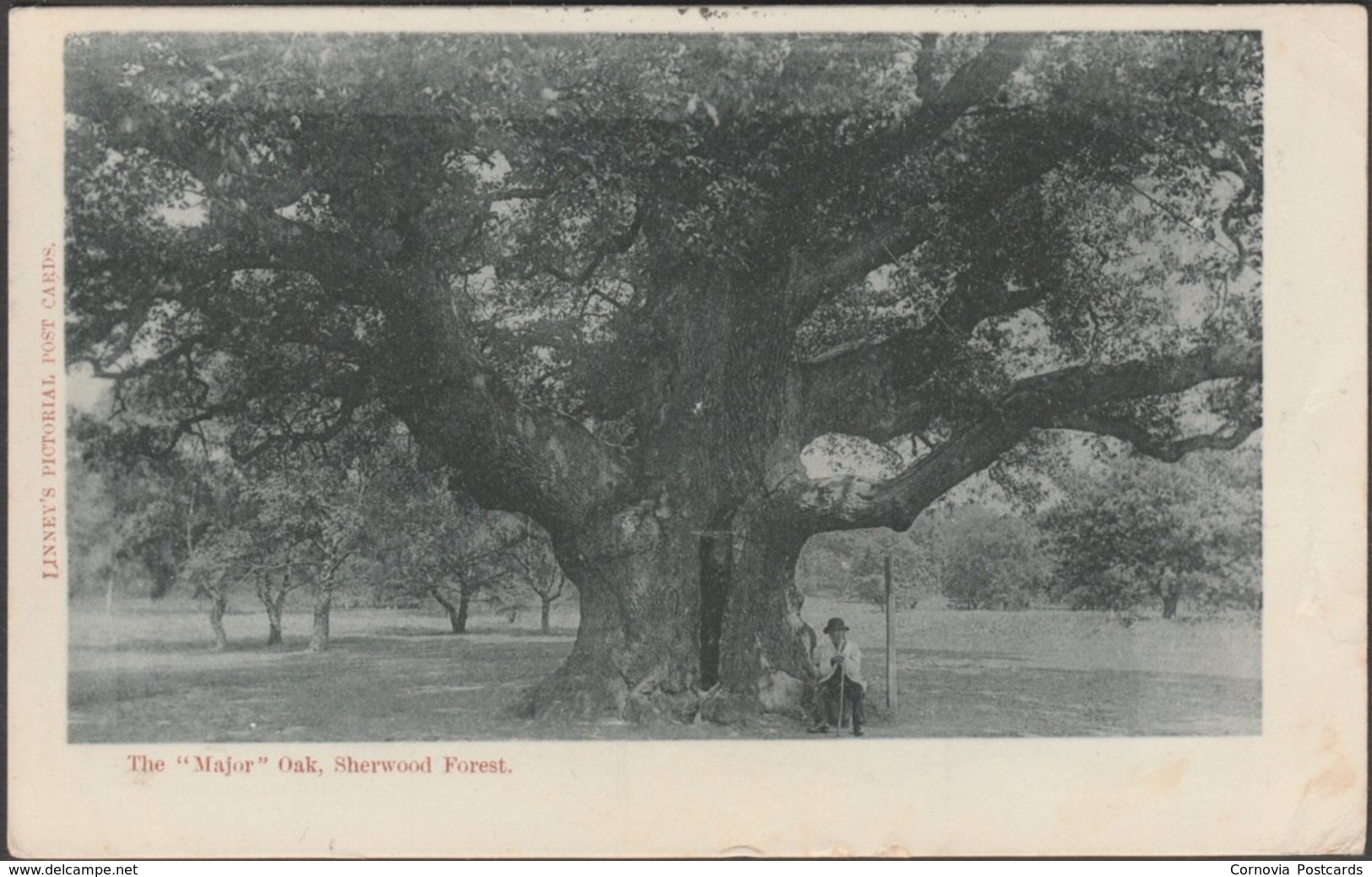 The Major Oak, Sherwood Forest, Nottinghamshire, 1904 - Linney's Postcard - Other & Unclassified