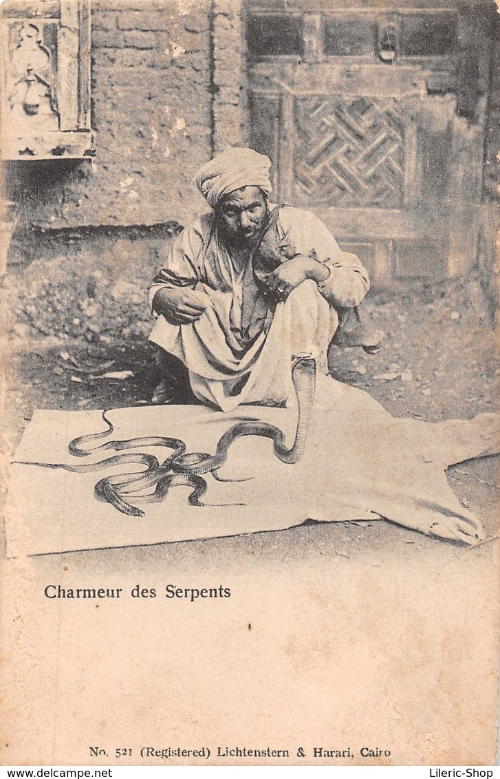 ÉGYPTE►CHARMEUR DE SERPENTS►LICHTENSTERN & HARARI, CAIRO N°521 - Personen