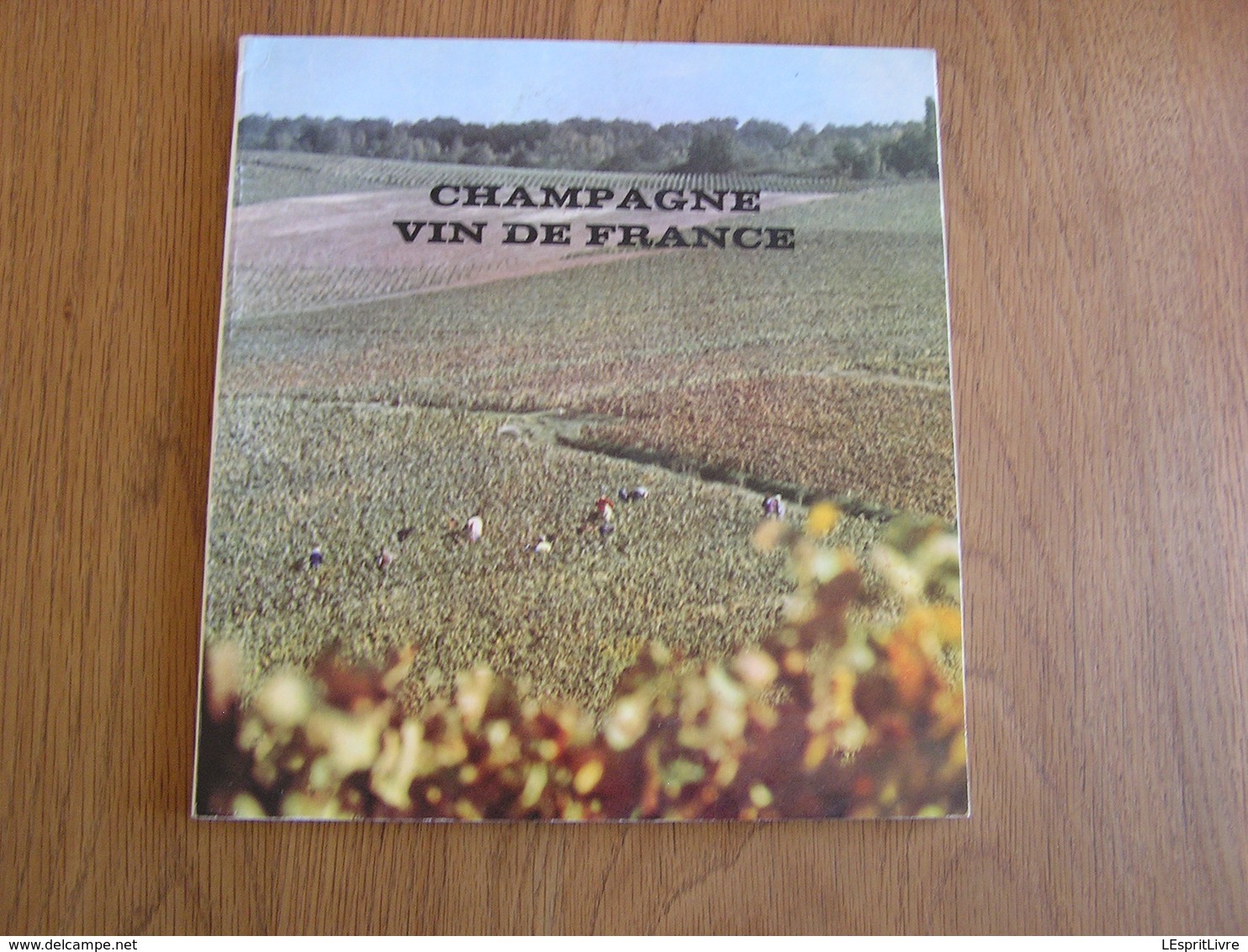 CHAMPAGNE VIN DE FRANCE Régionalisme Reims Epernay Vendanges Viticulture Vignoble - Champagne - Ardenne