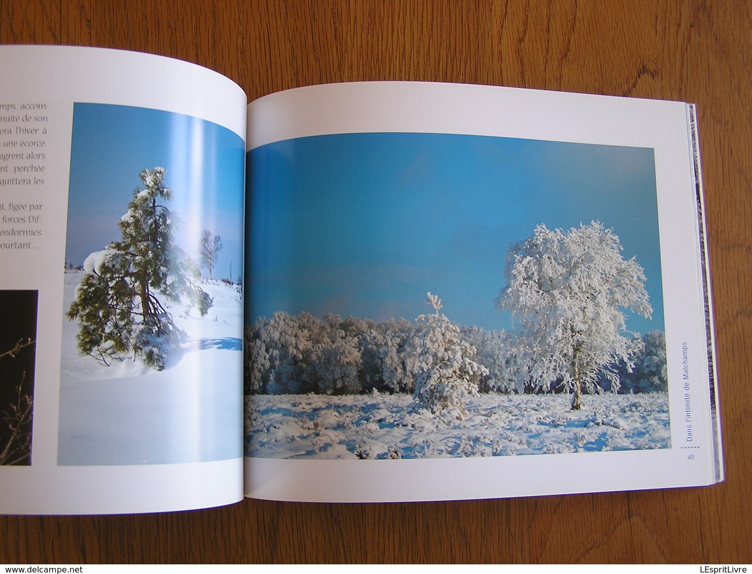 HAUTES FAGNES Morceau Choisi MALCHAMPS Régionalisme Nature Paysage Randonnée Oiseau Animaux Tourbière Photographies