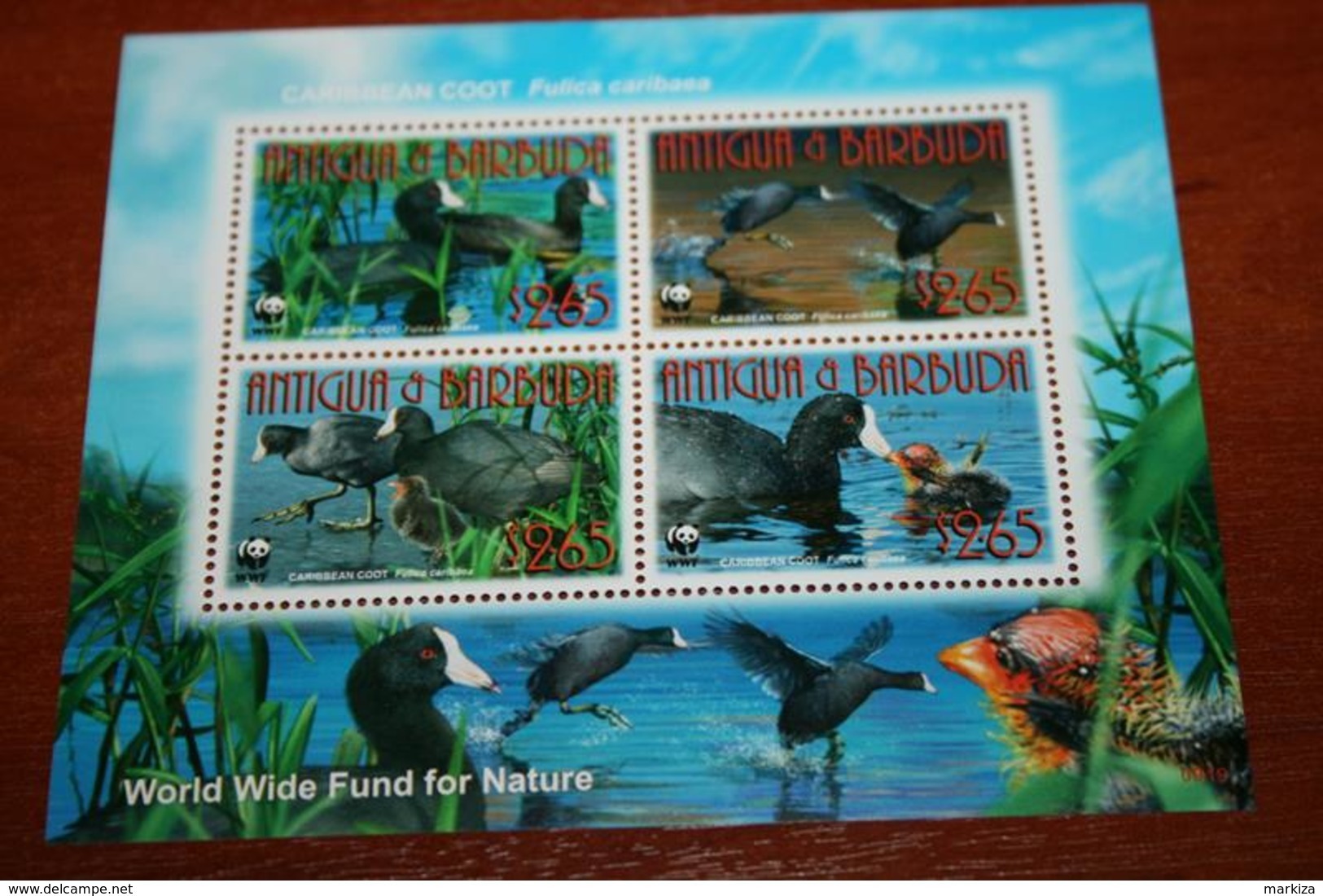 WWF  Antigua & Barbuda  Rare Mini-block   Birds - Autres & Non Classés