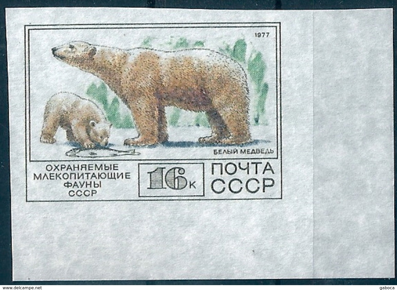 B7480 Russia USSR 1977 Fauna Polar Animal Mammal Colour Proof - Arctic Wildlife