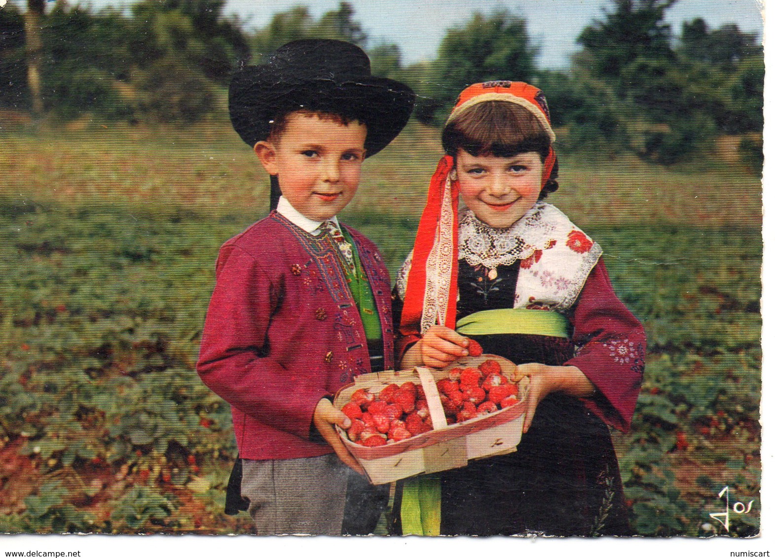 Plougastel-Daoulas Animée Enfants Dans Un Champ De Fraises En Costumes Traditionnels Folklore Coiffe - Plougastel-Daoulas