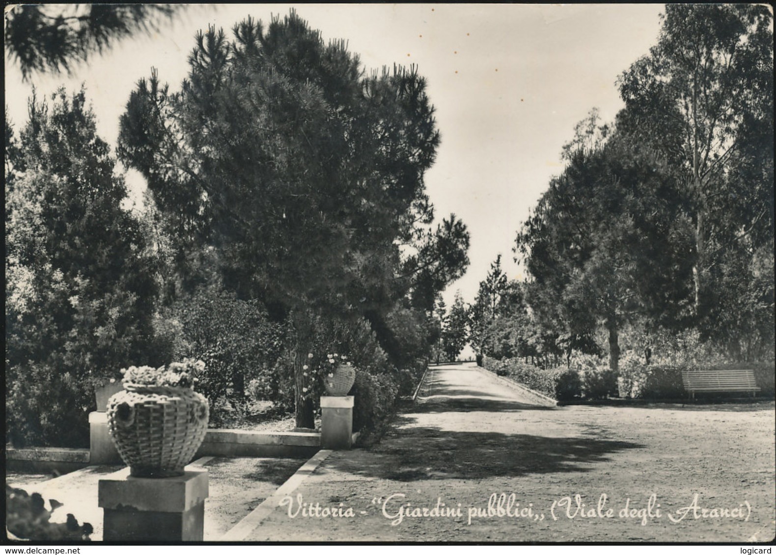 VITTORIA - GIARDINI PUBBLICI (VIALE DEGLI ARANCI) 1955 - Vittoria