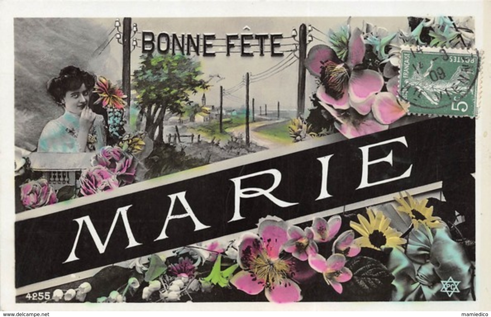 60 cartes. Des très belles,des  moyennes & des plus petites.Lot n°021 Toutes sont scannées