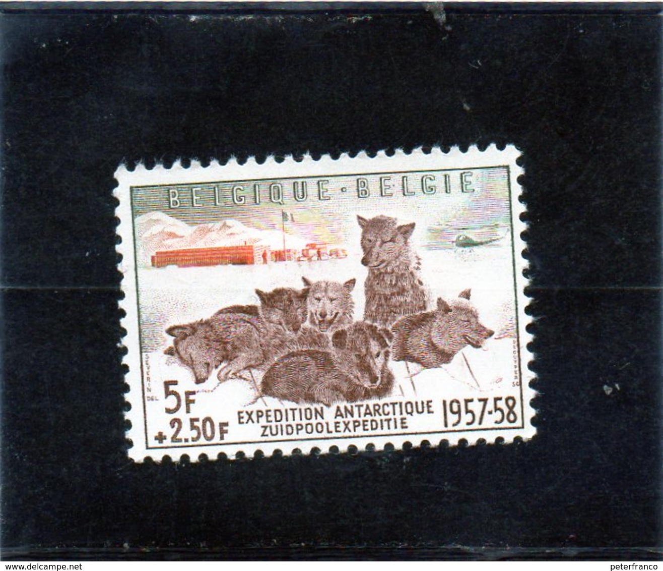 CG39 - 1957 Belgio - Spedizione Antartica - Événements & Commémorations