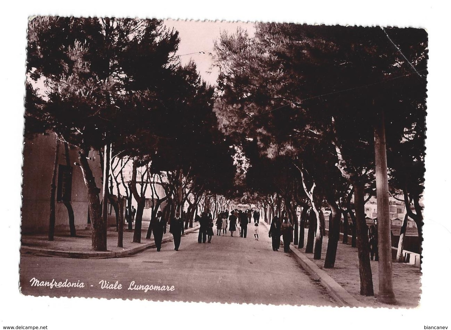 CARTOLINA DI MANFREDONIA - FOGGIA - 2 - Manfredonia