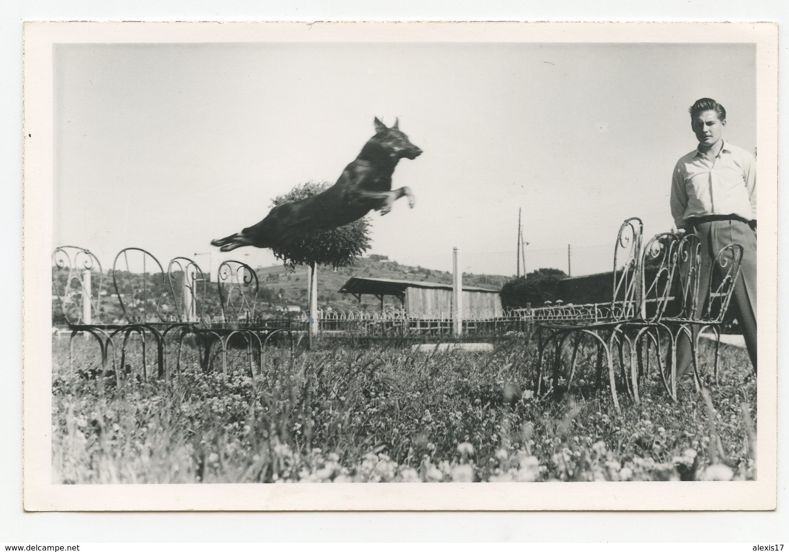 Photo D'un Célèbre Chien Athos Et Son Maître à Vichy En Aout 1957 - Places