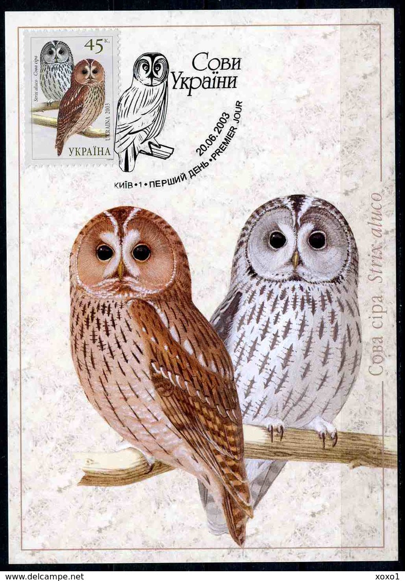 Ukraine 2003 MiNr. 576 Birds Owls    Tawny Owl   MC III - Owls