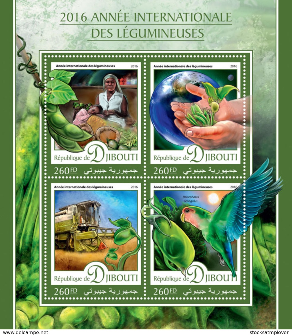 Djibouti 2016 International Year Of Pulses, Parrot - Djibouti (1977-...)