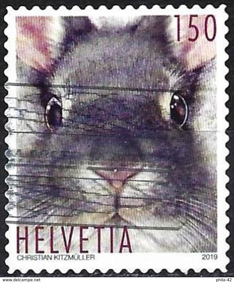 Switzerland 2019 - Mi 2596 - YT 2514 ( Rabbit Portrait ) - Oblitérés