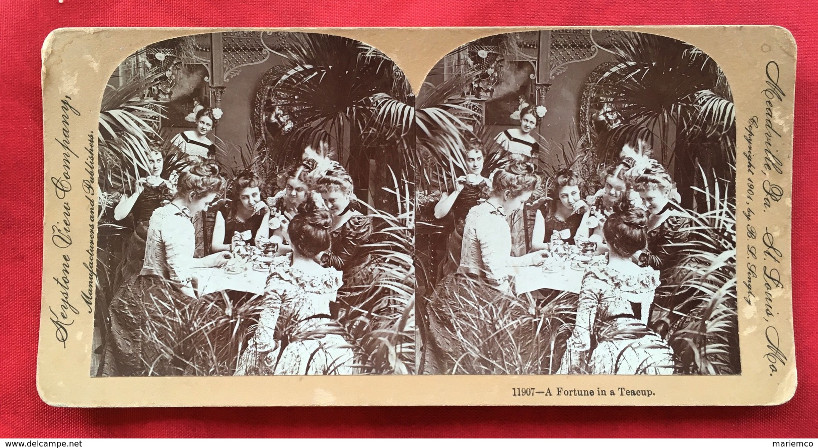 PHOTO "a Fortune In A Teacup" 1107 St Louis Kingstone View Compagny - Stereoscopic