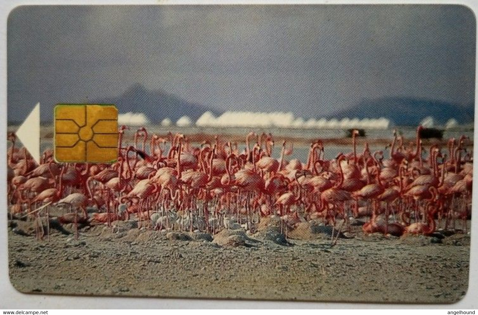 Bonaire 60 Units " Pink Flamingo " - Antilles (Netherlands)