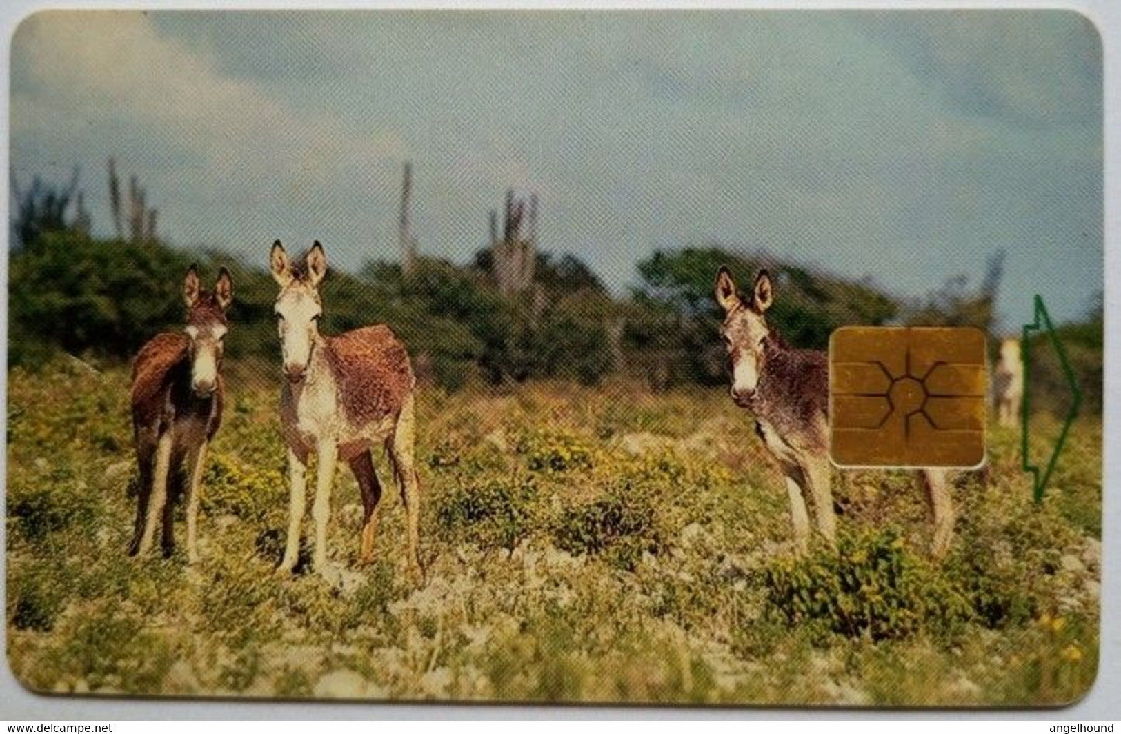 Bonaire  20 Units " Donkeys " - Antillas (Nerlandesas)