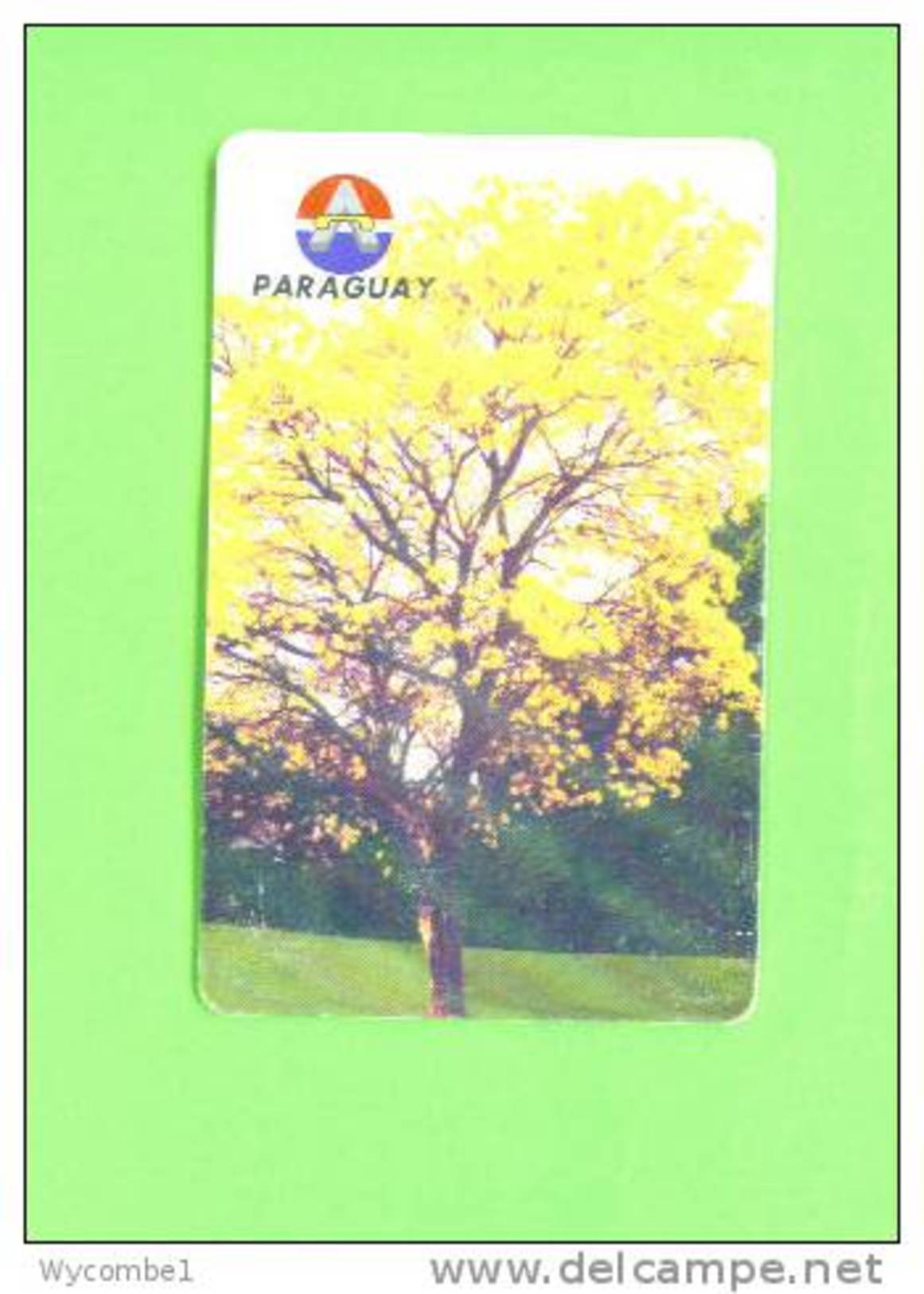 PARAGUAY - Chip Phonecard As Scan - Paraguay