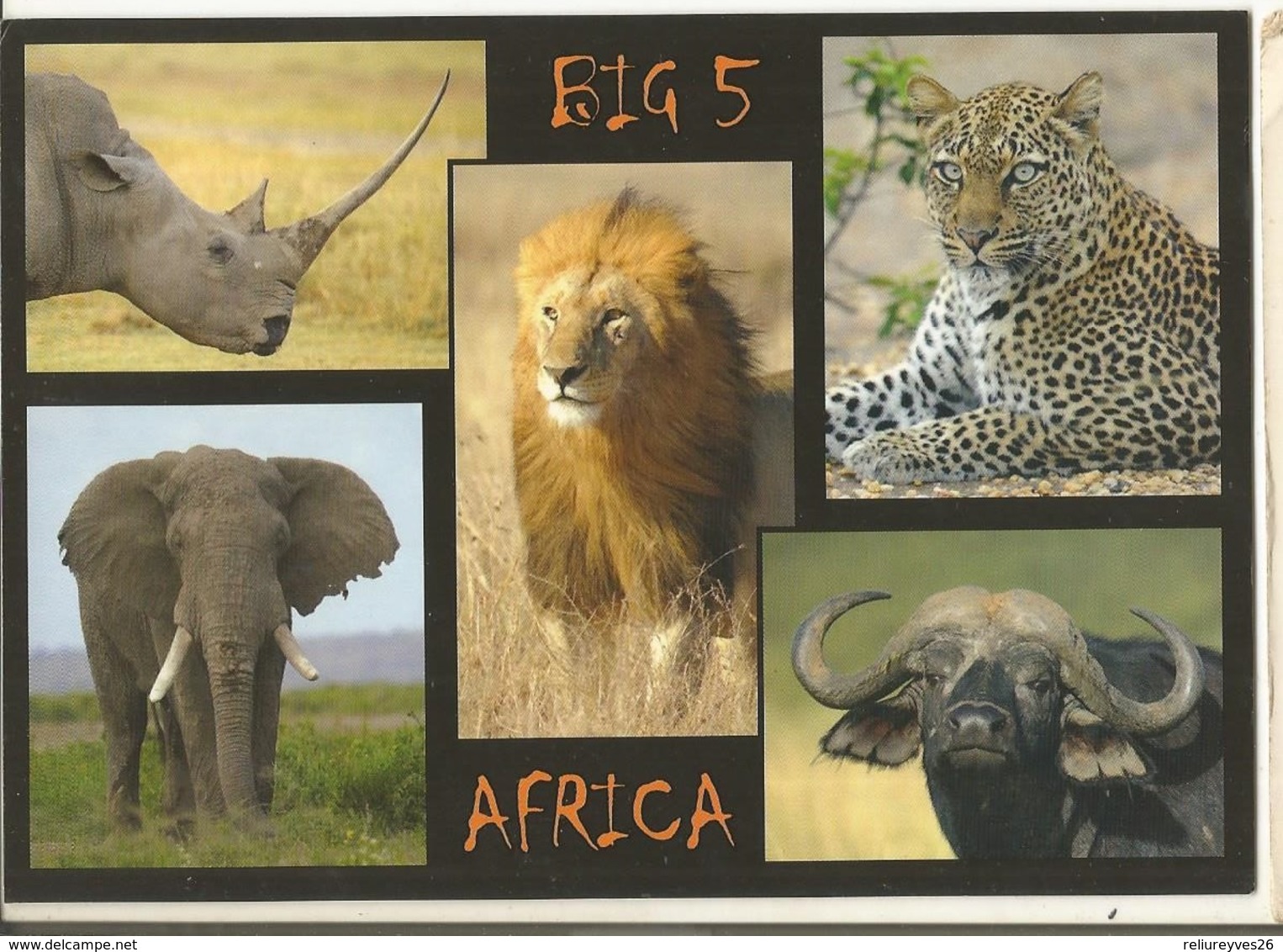 CPM, Afrique Du Sud  ( R.S.A. ) , Big 5, Africa , Lion , Rhino, Leopard , Elephant , Buffalo - Ed. N.H. Savana - South Africa