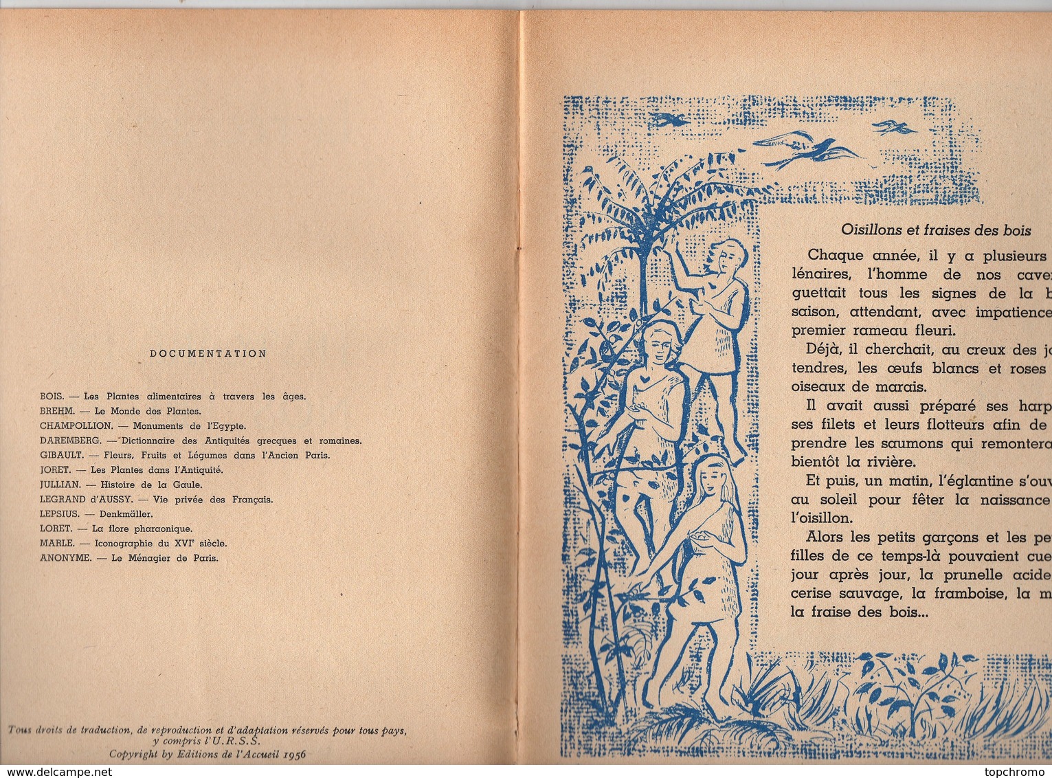 Revue Illustrée Histoire De Nos Fruits N°9 Editions De L'accueil 1956 J. Mérand 32 Pages - Unclassified