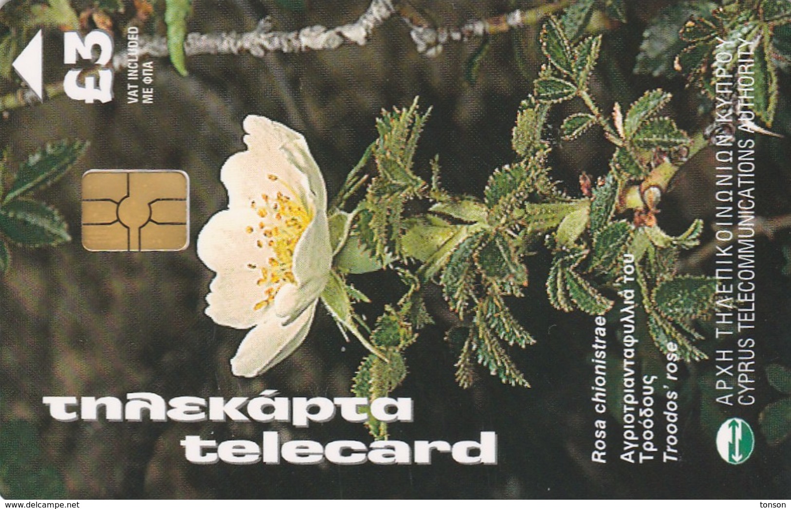 Cyprus, CYP-C-032, Flowers Of Cyprus, Rosa Chionistrae, 2 Scans.  GEM5 (Black) - Chipre