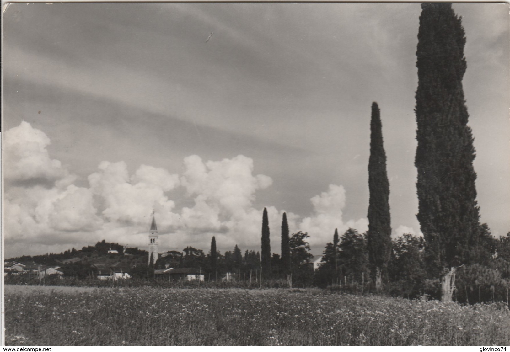 UDINE - BUTTRIO - PANORAMA.....S55 - Udine