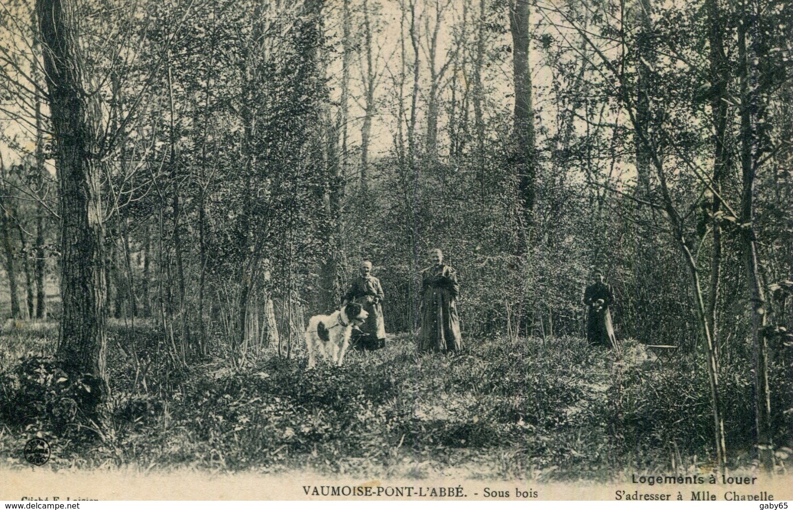 CPA.60.OISE.VAUMOISE-PONT-L'ABBE.SOUS BOIS. - Vaumoise