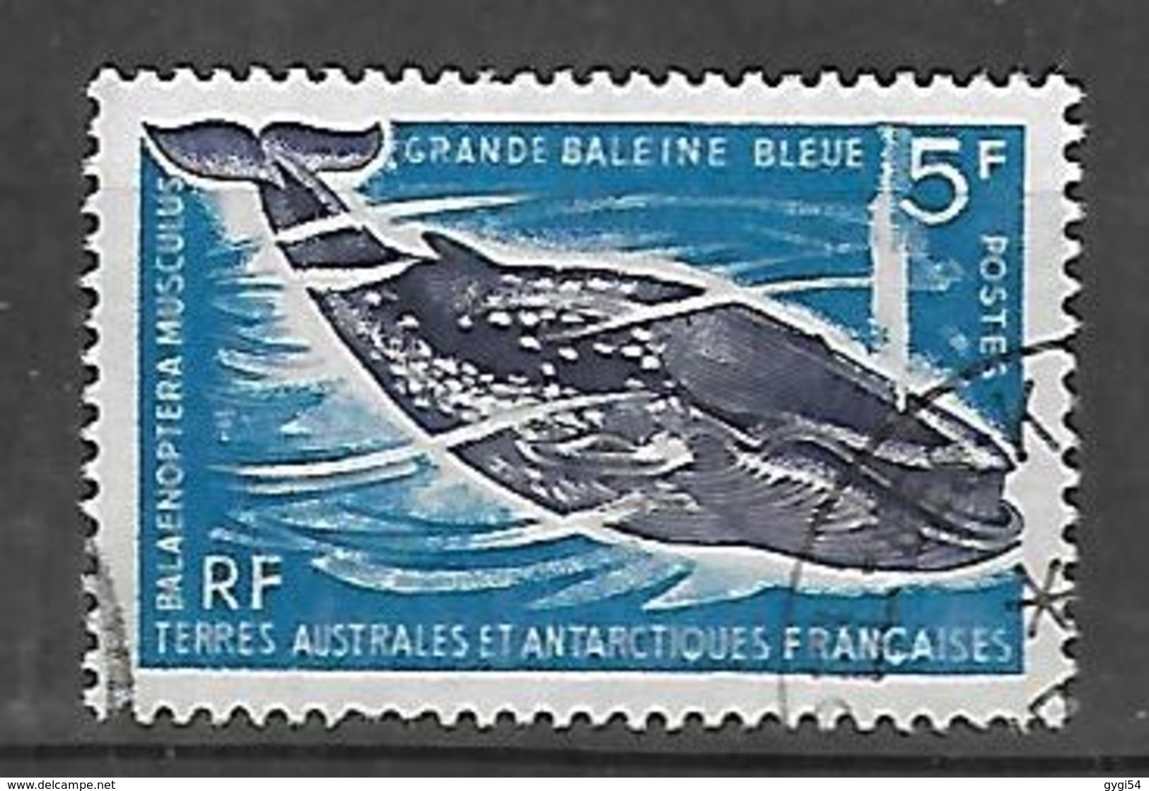 TAAF  1966  Faune  22  Cat Yt N° 24  Oblitéré - Used Stamps