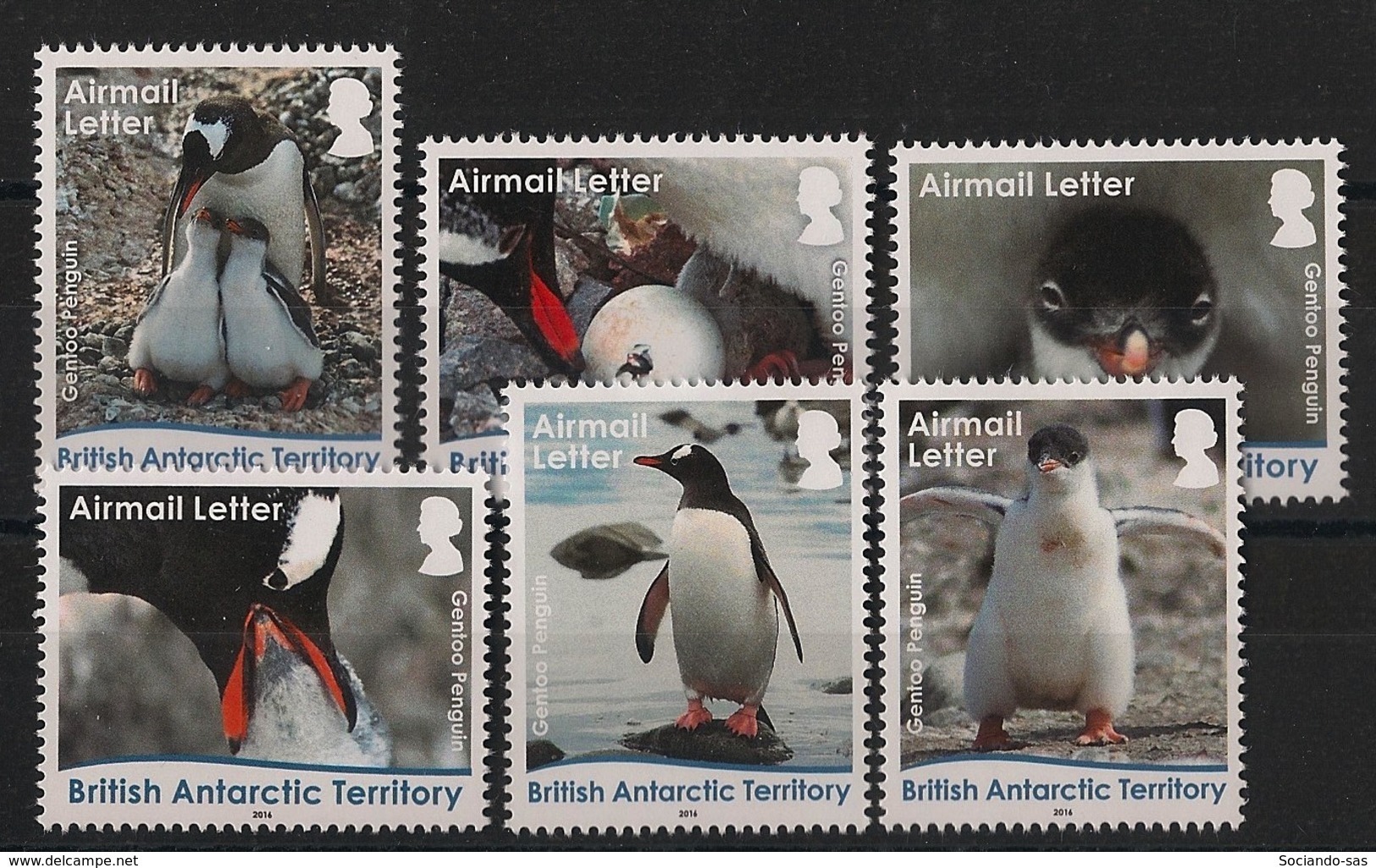 British Antarctic Territory / BAT - 2016 - N°Yv. 686 à 691 - Manchots - Complete Set - Neuf Luxe ** / MNH / Postfrisch - Unused Stamps