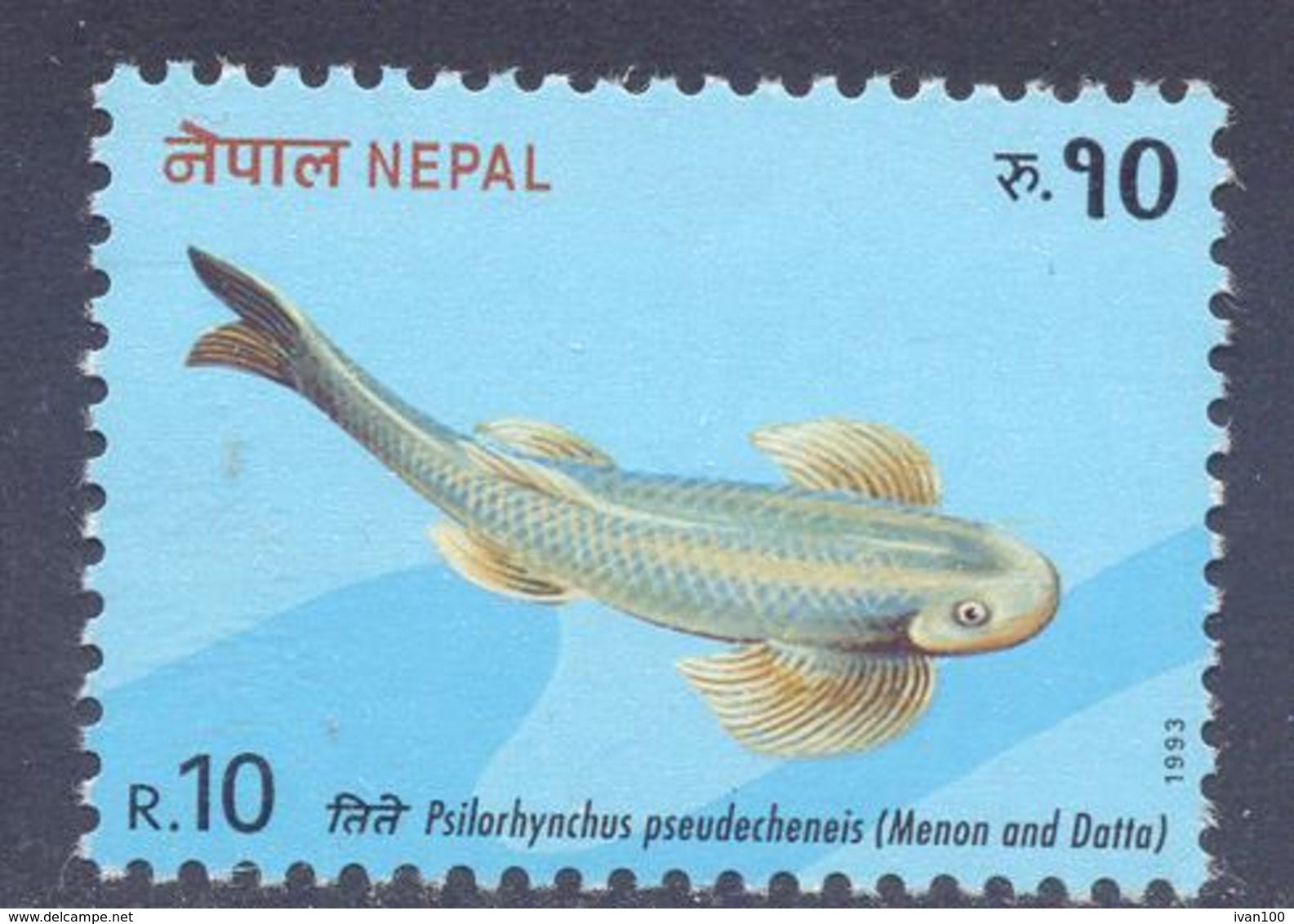 1993.  Nepal, Fish, 1v, Mint/** - Nepal