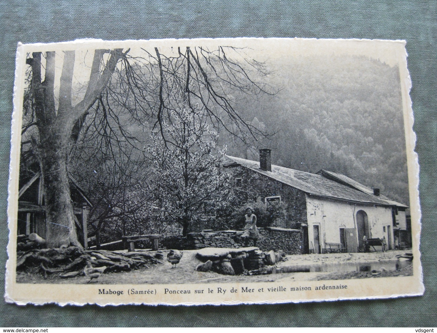 MABOGE - PONCEAU SUR LE RY DE MER ET VIEILLE MAISON ARDENNAISE - La-Roche-en-Ardenne