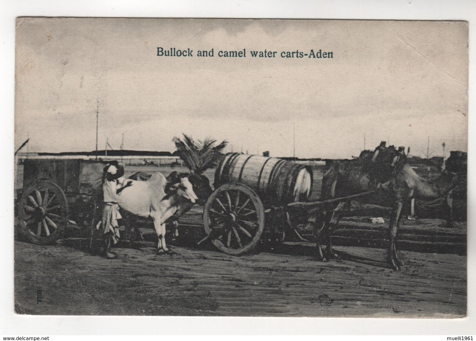 6999, Bullock And Camel Wader Carts, Aden, Ochsen- Und Kamelwasserwagen-Aden - Unclassified