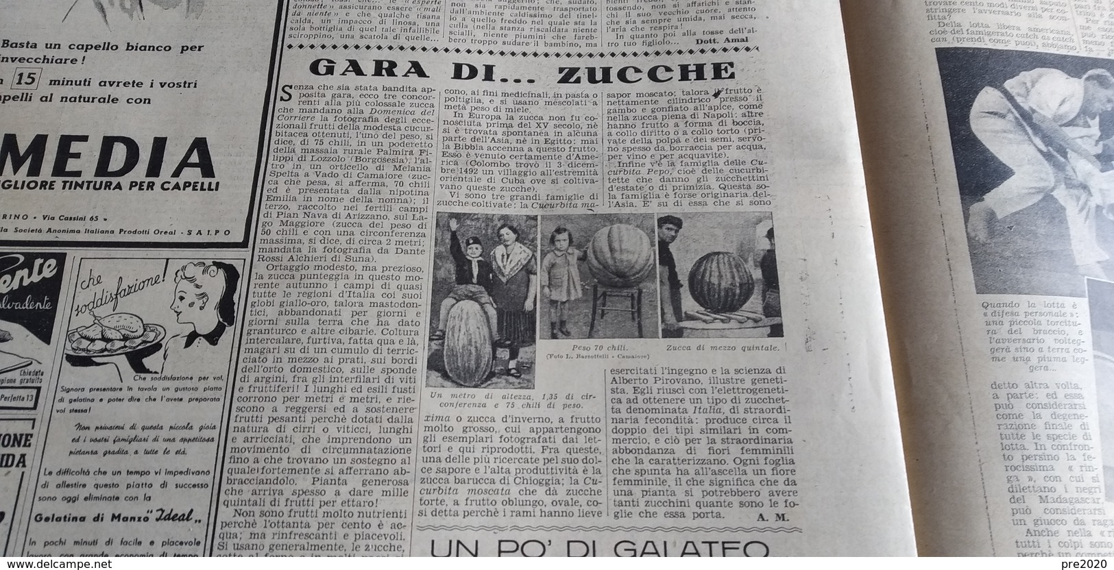 DOMENICA DEL CORRIERE 1940 ISOLA D’ELBA LOZZOLO VADO DI CAMAIORE ARIZZANO - Autres & Non Classés