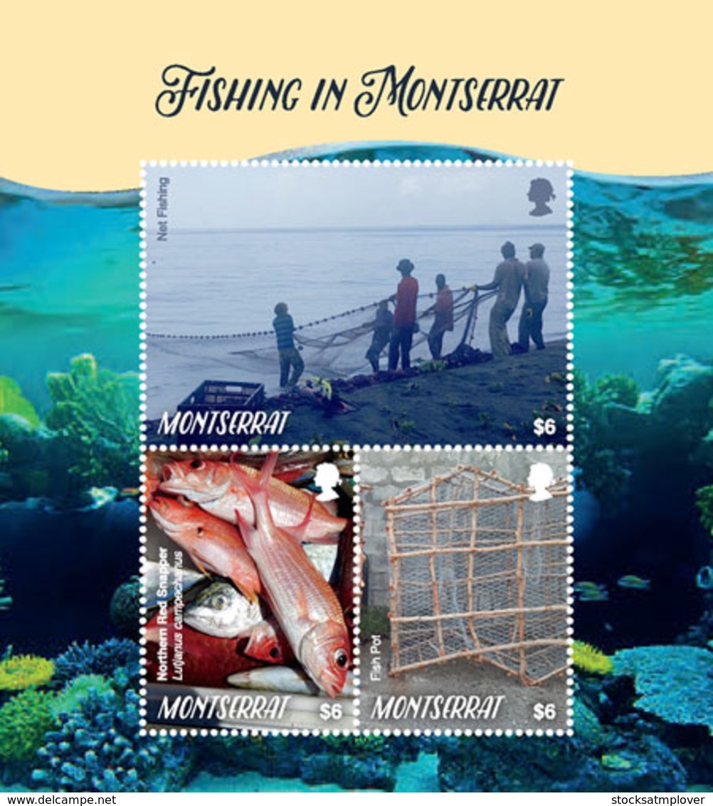 Montserrat  2018  Fauna Fishing In Montserrat  I201901 - Montserrat