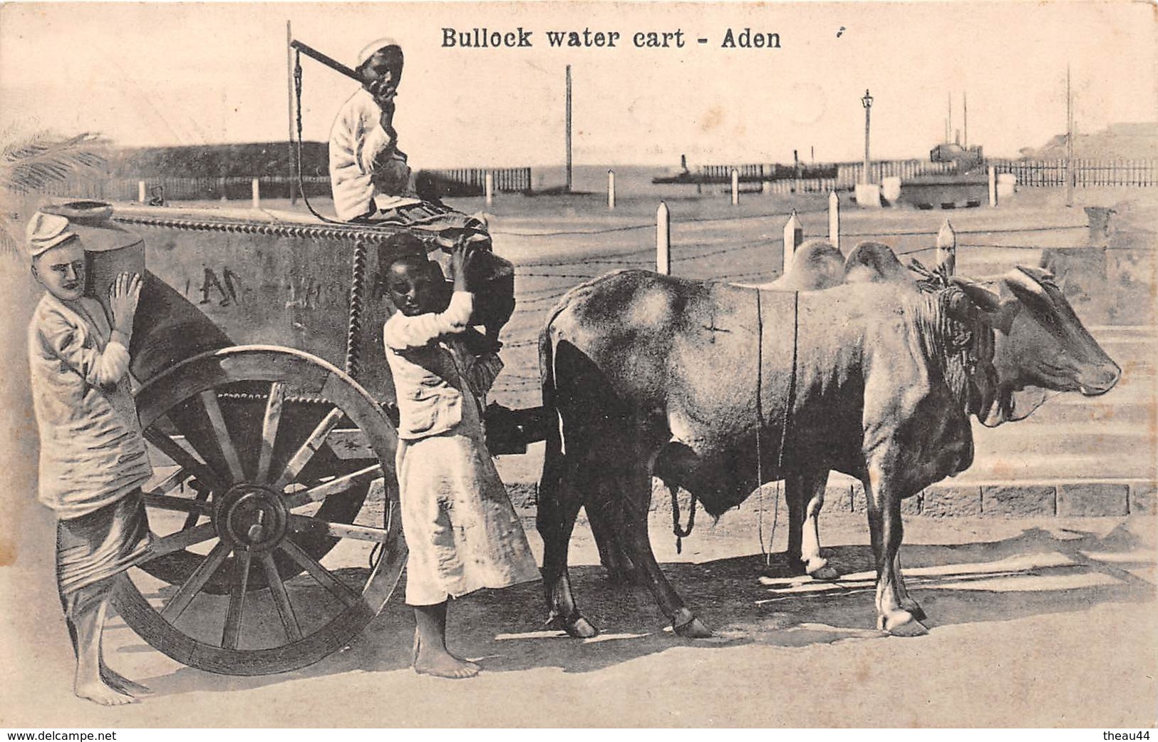 ¤¤   -  YEMEN   -  ADEN   -  Bullock Water Cart  -   Attelage    -   ¤¤ - Yémen