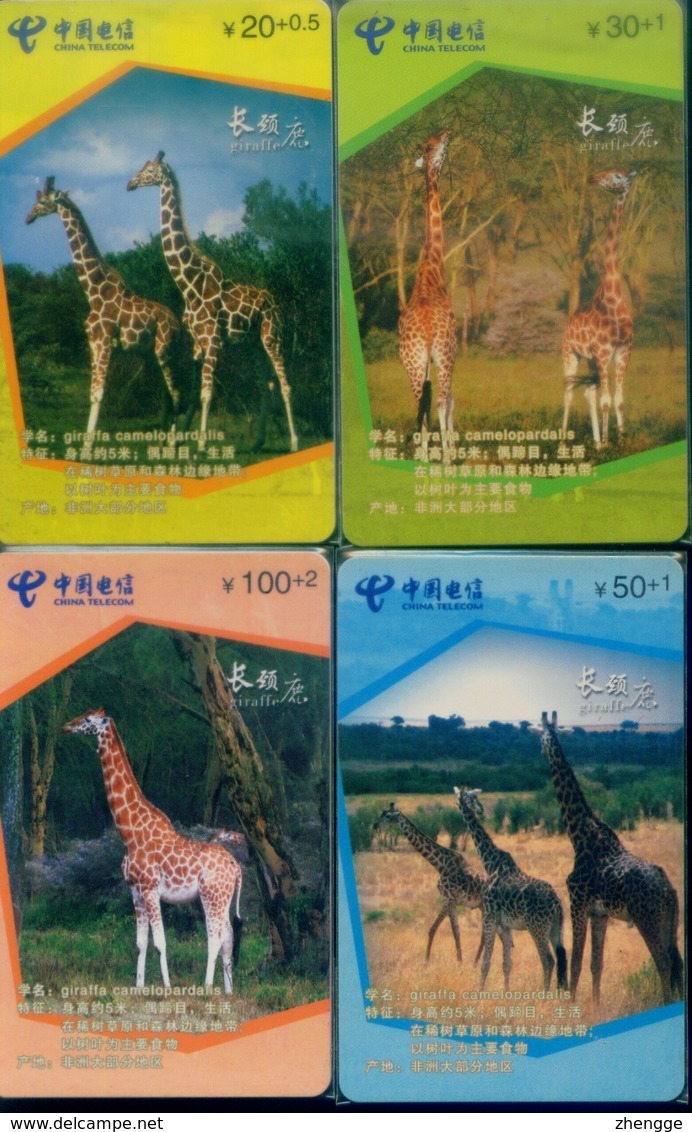 China Telecom Chip Cards, Giraffe, Fujian Province, (4pcs) - China