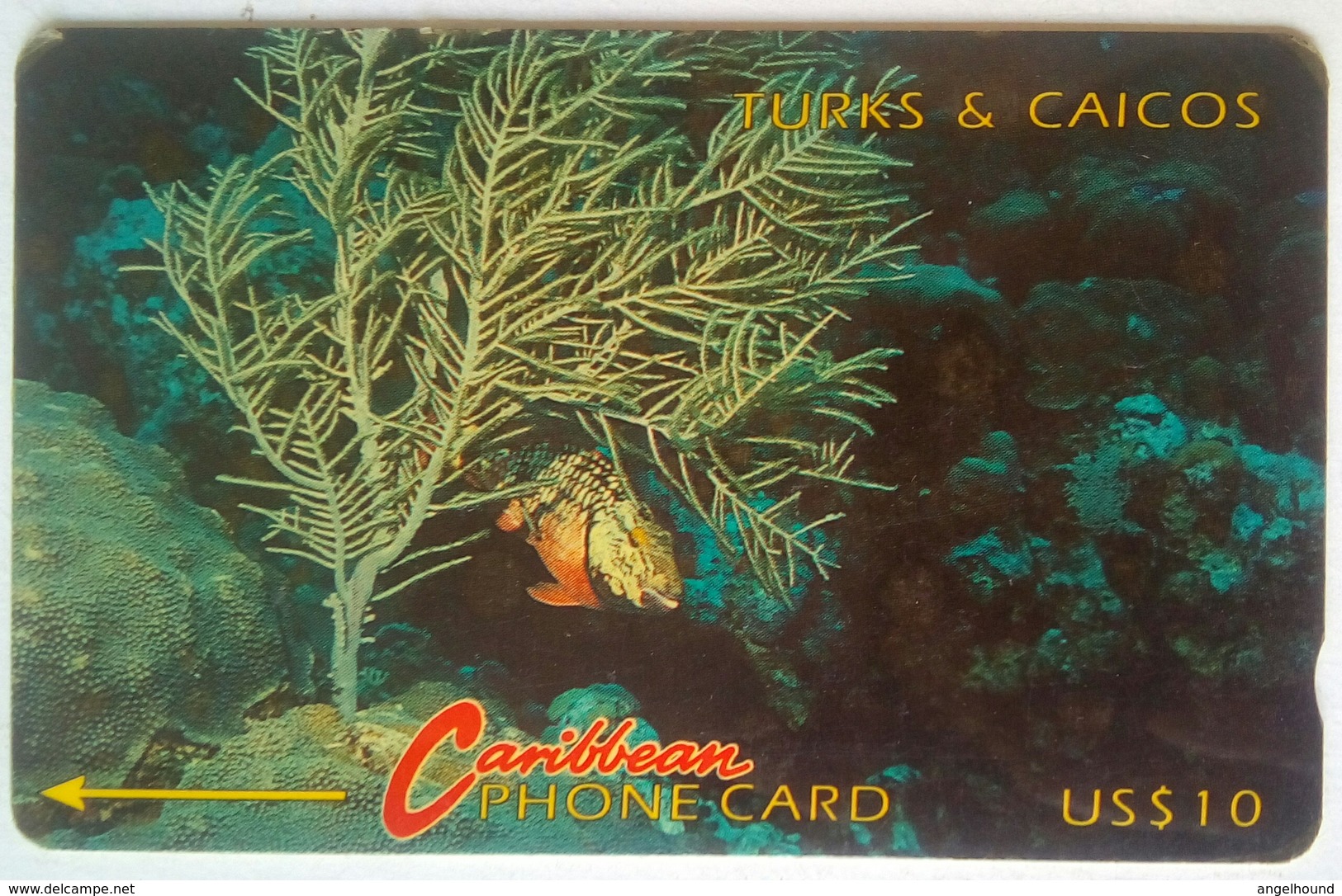 1CTTC  US$10 Under The Sea - Turks And Caicos Islands