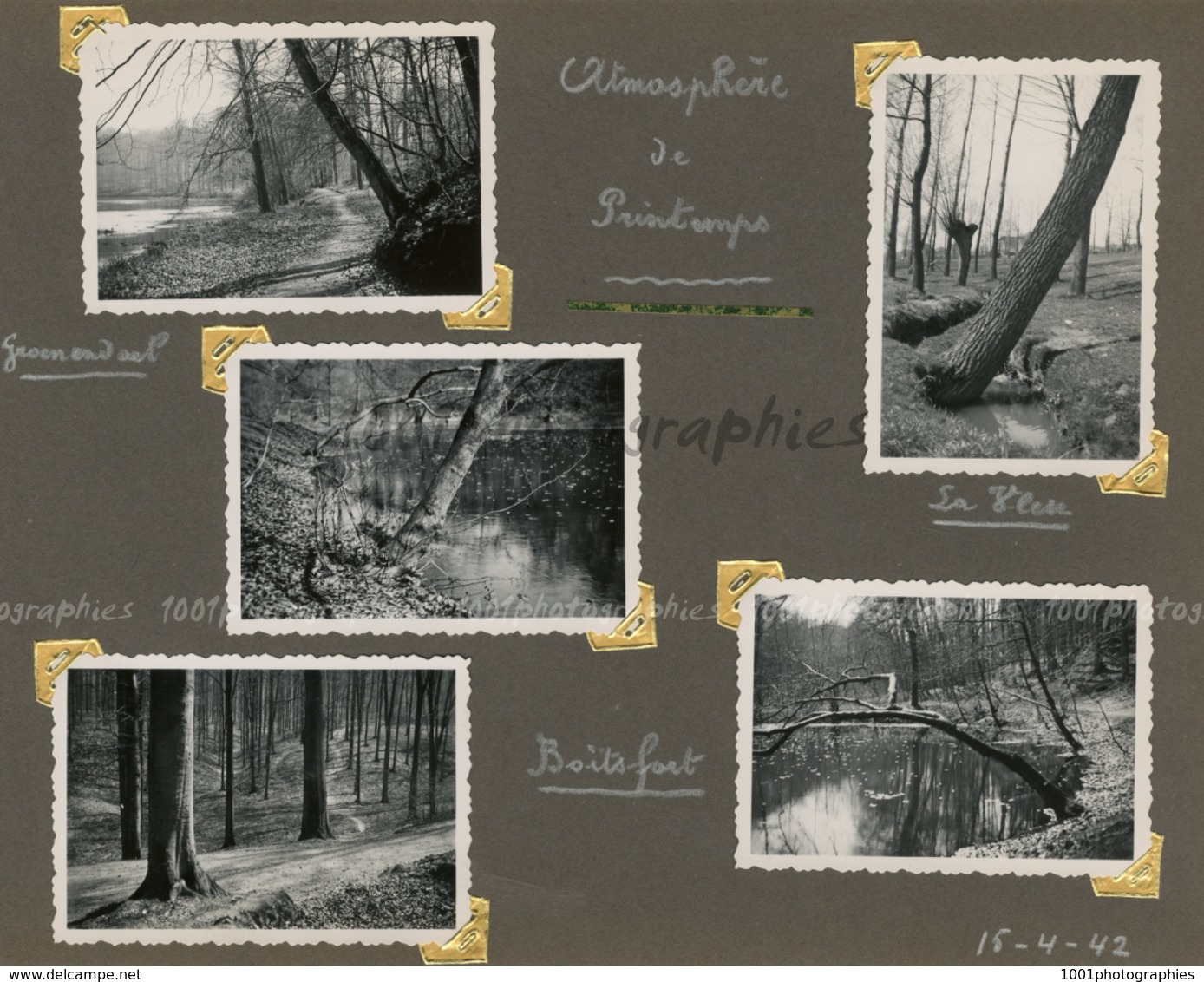 "Atmosphère De Printemps - Groenendael, Boitsfort -15 Avril 1942"    5  Photographies Originales D'époque. FG1417 - Lugares