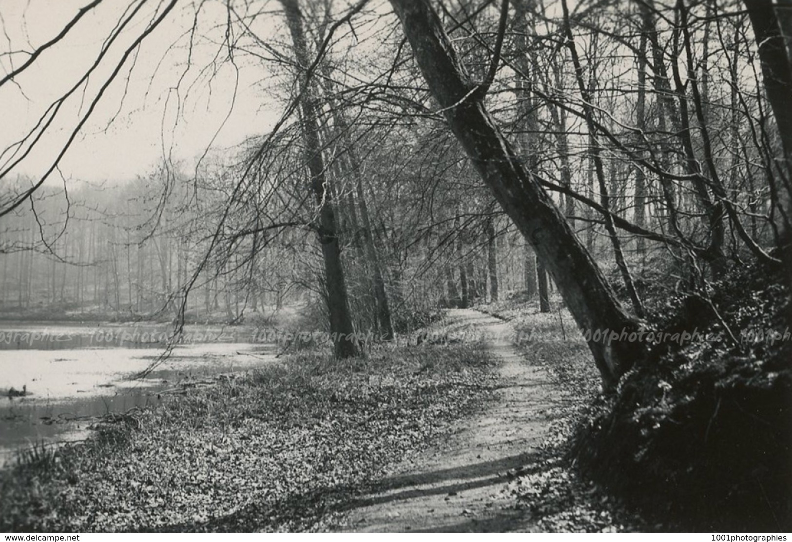 "Atmosphère De Printemps - Groenendael, Boitsfort -15 Avril 1942"    5  Photographies Originales D'époque. FG1417 - Lugares
