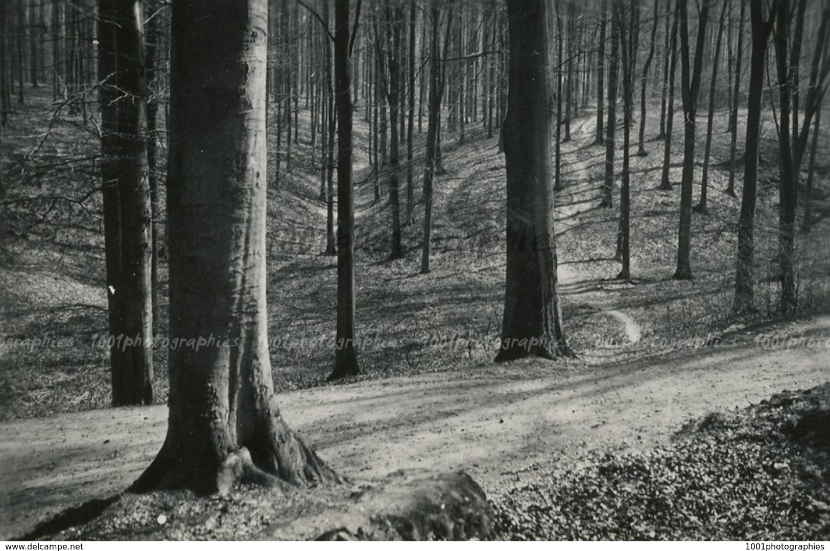 "Atmosphère De Printemps - Groenendael, Boitsfort -15 Avril 1942"    5  Photographies Originales D'époque. FG1417 - Lugares