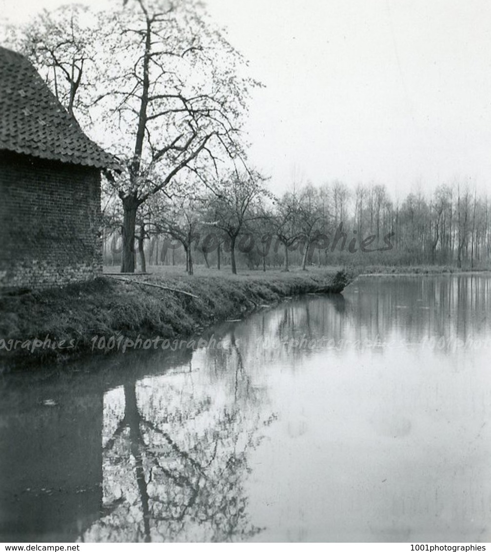 " Printemps à Pede,; Forêt De Soignes - Bois De Capucins - Chemin Du Relais" 5 Photographies Originales D'époque. FG1422 - Places