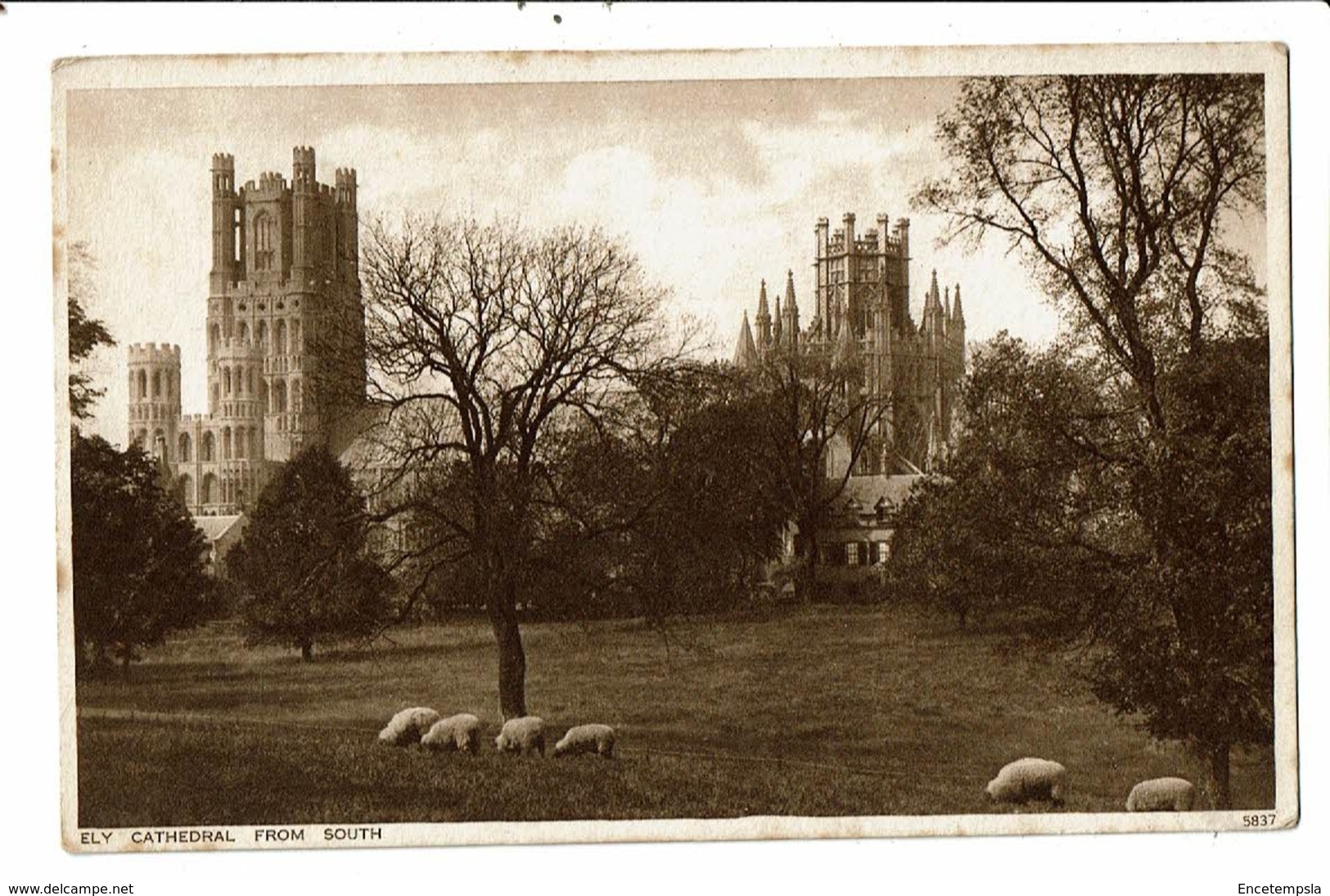 CPA-Carte Postale -Royaume Uni- Ely- Cathedral From South   VM17234 - Ely