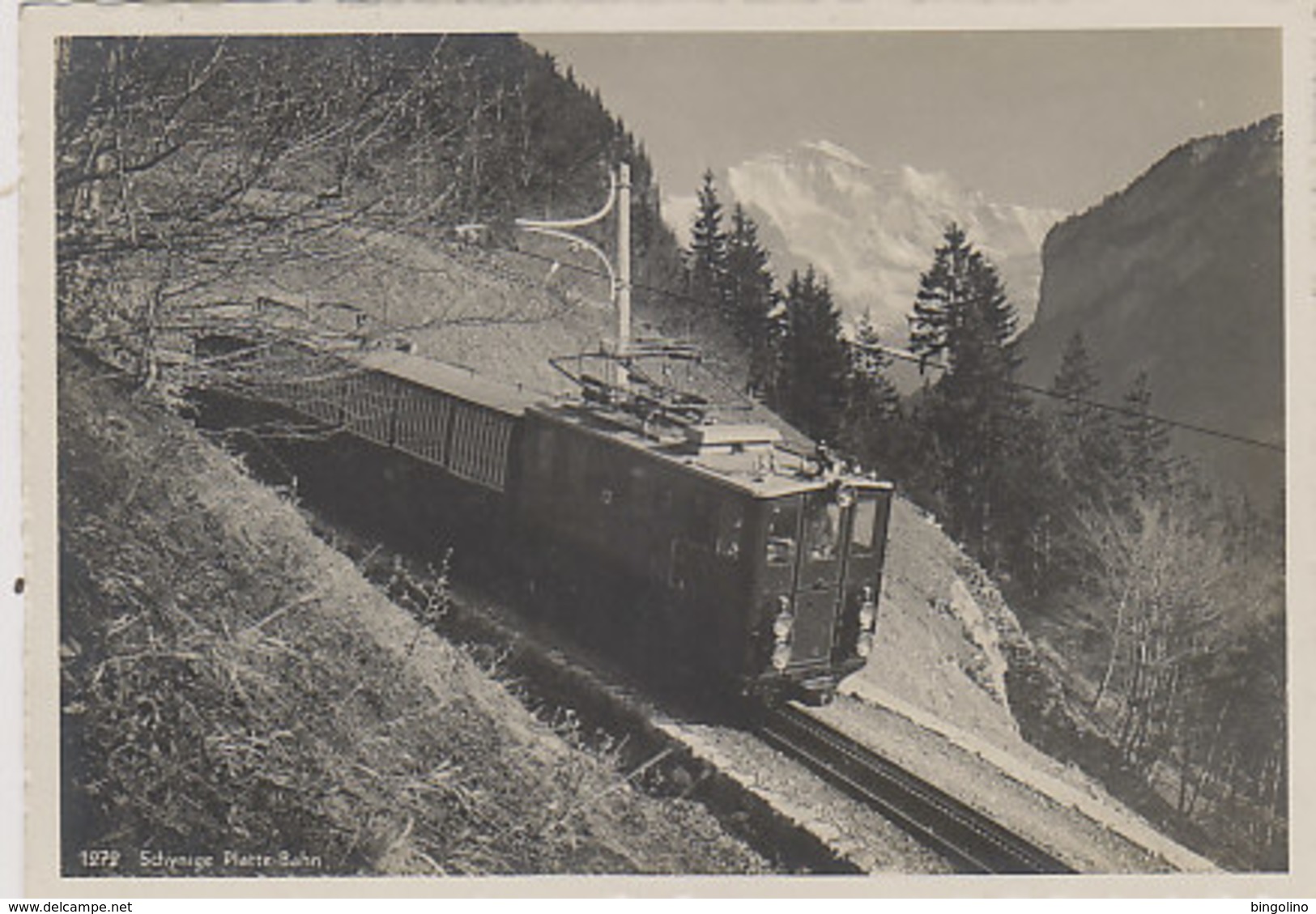 Schynige-Platten-Bahn Oberhalb Von Wilderswil - Schöne Grossaufnahme       (P-247-00201) - Treni