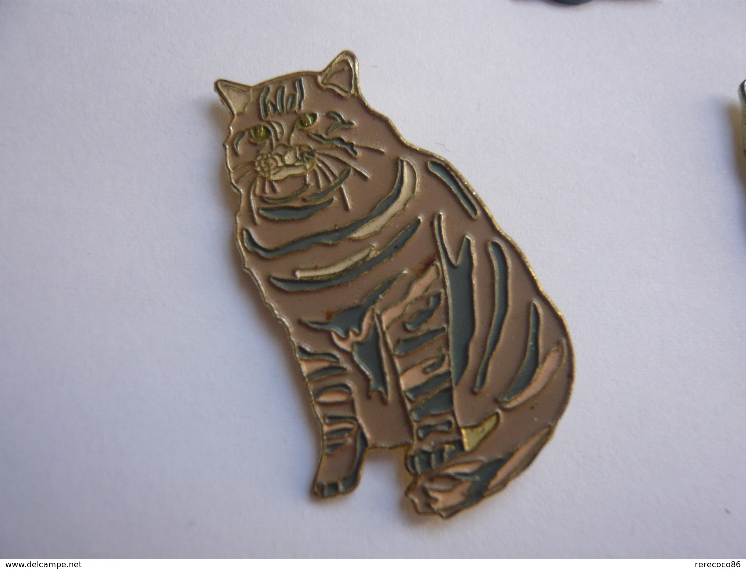 Pins ANIMAUX CHAT - Animales