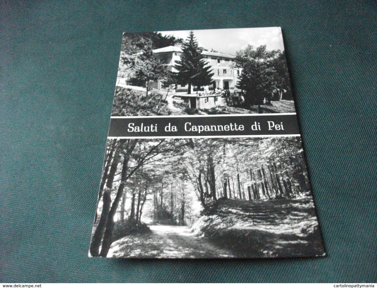 SALUTI DA CAPANNETTE DI PEI ALBERGO TAMBUSSI  ALESSANDRIA - Saluti Da.../ Gruss Aus...