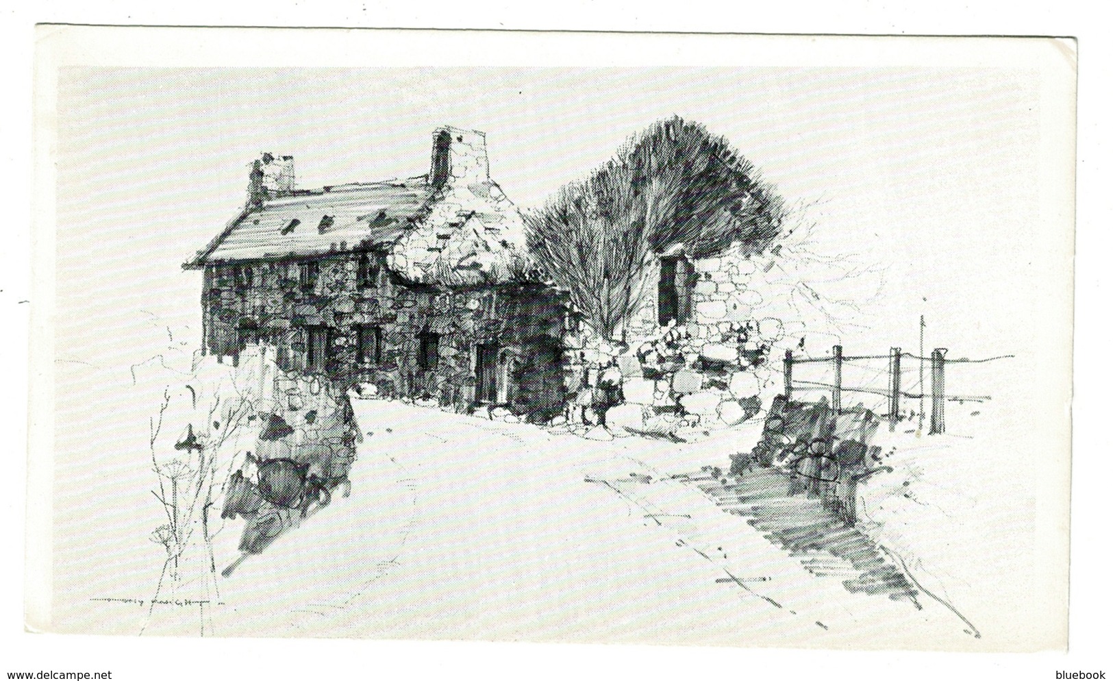 Ref 1367 - Tony Knight Postcard - Llanfair Village - Caernarvonshire Wales - Caernarvonshire