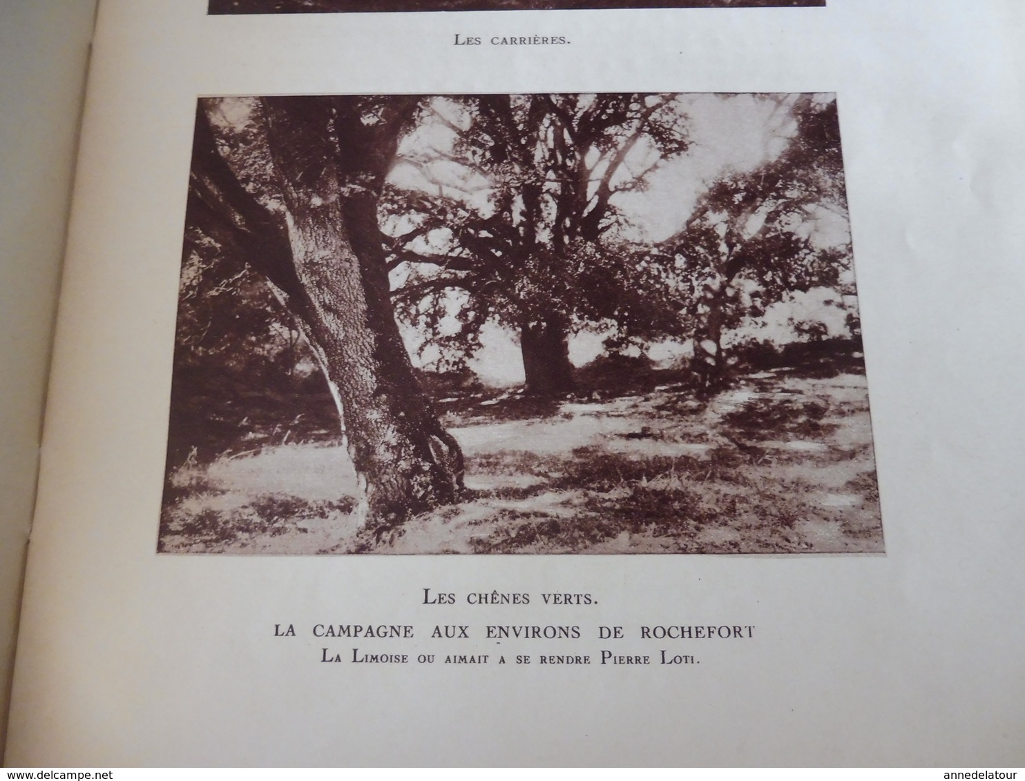 JOURNAL INTIME (Pierre Loti)  publié par son fils Samuel Viaud   (année 1924) document I et II ...à suivre